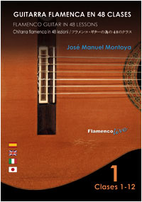 Guitarra flamenca en 48 Clases - vol1