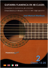 Guitarra flamenca en 48 Clases - vol2