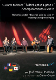 Guitarra Flamenca Acompañamiento por Bulerias